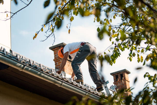 Best Storm Damage Roof Repair  in Elmer, NJ